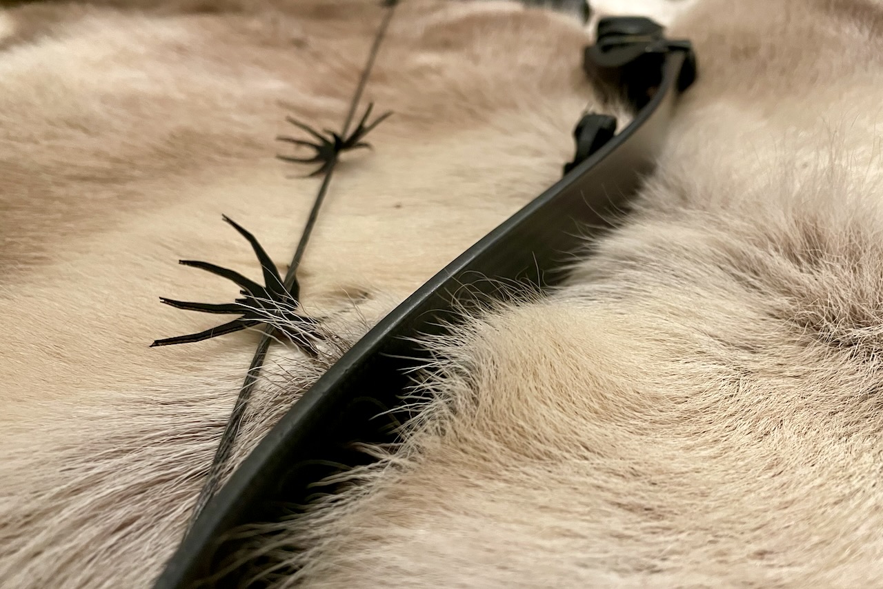String silencers on a Hoyt Satori bow with Uukha limbs